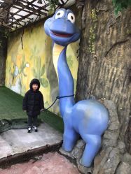 -宝燕乐园(闵行旗舰店)