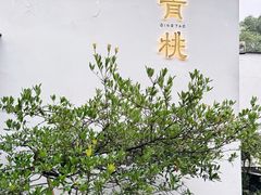 -青桃餐厅