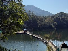 -广州市流溪河国家森林公园