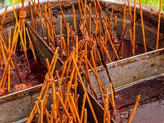 -小吴水煮(羊子巷无任何分店)