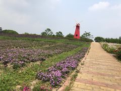 -同里国家湿地公园