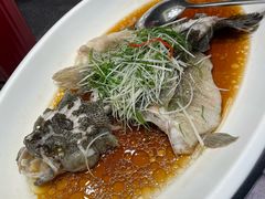 -骏莱海鲜鱼港(五角场店)