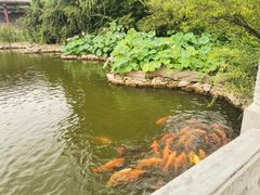 -有喜胶东小馆(太申祥和店)