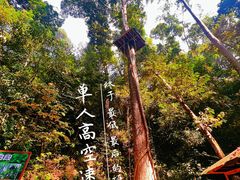-西双版纳原始森林公园