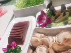 -番食园鲜食火锅(高新店)