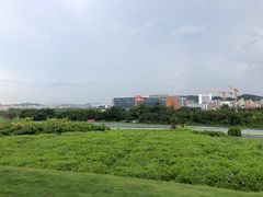 -光明小镇欢乐田园