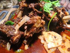 -杨氏青龙虾·羊蝎子(金盛路总店)