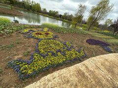 -泗洪洪泽湖湿地景区
