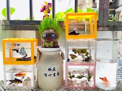 -清平路水族市场