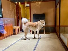 -大江户·温泉洗浴(浑南店)