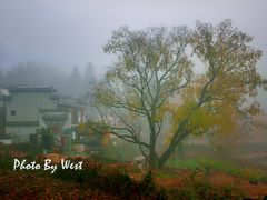 -塔川景区