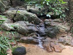 -火炉山森林公园