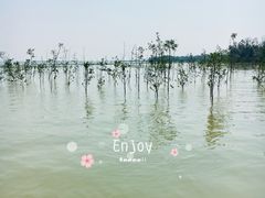 -东寨港红树林旅游区