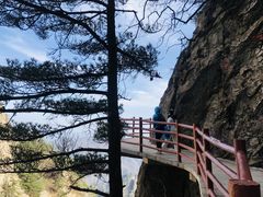 -老君山风景名胜区