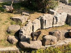 -上方山森林动物世界