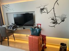 -白玉兰酒店(上海田子坊马当路地铁站店)