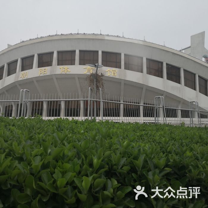 朝阳体育馆 大众点评