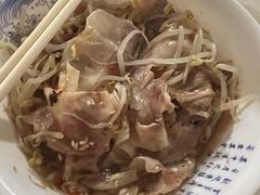 -邓氏大薄片