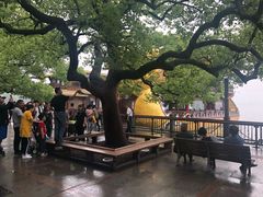 -西湖游船