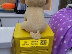 -瑞派雷欧宠物医院·24h夜诊·心脏骨科牙科·全科重症转诊中心(无影山店)
