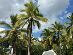 -西双版纳融创皇冠假日度假酒店