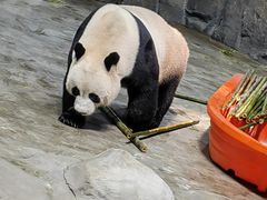 -栾川竹海野生动物园