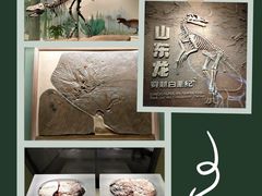 -山东博物馆