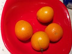 -江渔儿酸菜鱼(东厦一百店)
