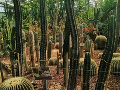-呀路古热带植物园