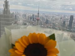 -上海柏悦酒店