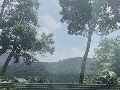 -广州市帽峰山景区