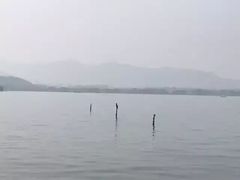-柳浪闻莺公园