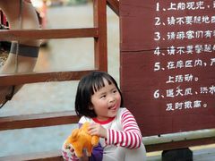 -天台国家森林公园水上茶乡九鹏溪