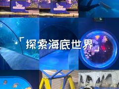 -太平洋海底世界
