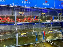 水产区-蟹老板的海鲜
