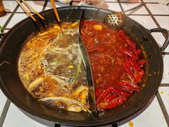 -朱光玉火锅馆(正弘城店)