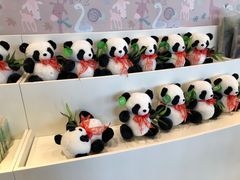 -大连森林动物园熊猫馆纪念品商店