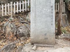 -抚仙湖禄充风景区