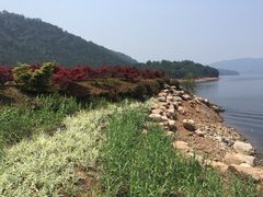-羡餐厅·杭帮菜·淳菜(千岛湖自由洲际殿店)