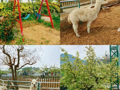 -丽泽山庄·生态怀柔菜·虹鳟鱼(红螺寺店)