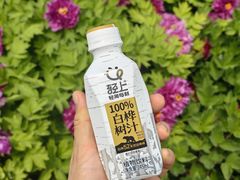 -太阳宫公园