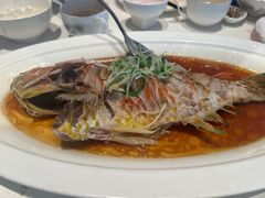 清蒸鲷鱼-闽海肴(北辰荟店)