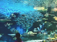 -华夏文旅海洋公园