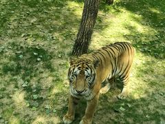 -北京野生动物园