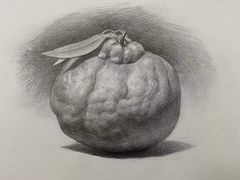 -青沐画室·专业美术培训