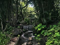 -燕晗山郊野公园