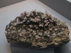 -湖南省地质博物馆