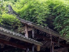 -雅安上里古镇