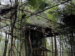 -翠屏湖景区