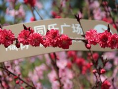 -大兴滨河森林公园